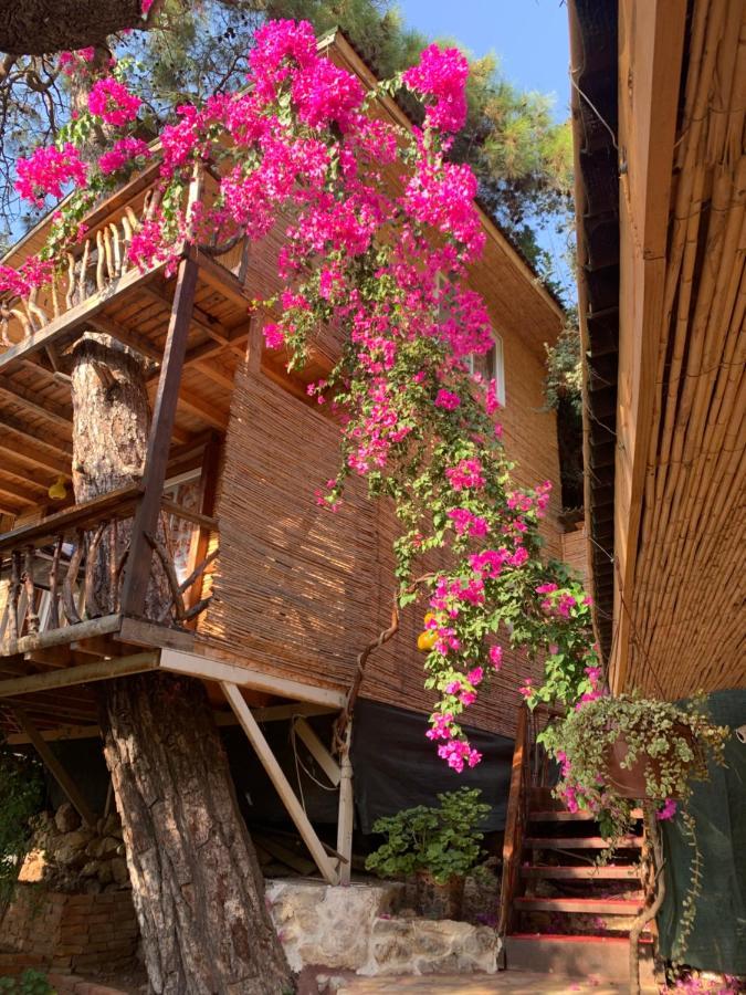 Large Bungalow With Sea View In Kabak Bay, Oeluedeniz Фетие Екстериор снимка